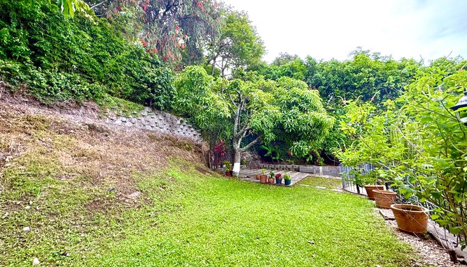 Jardín trasero con césped verde, árboles frondosos, macetas decorativas y un muro de contención cubierto de vegetación.