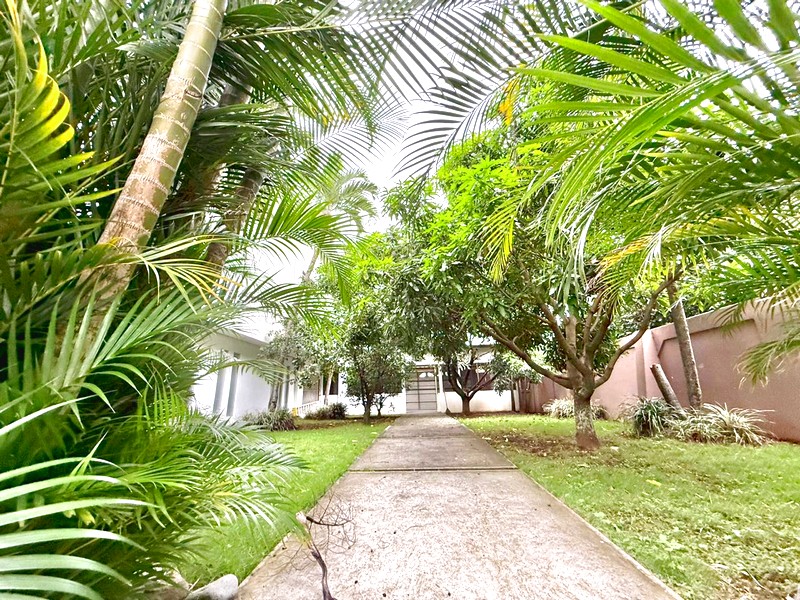 Acceso y jardines de la casa moderna