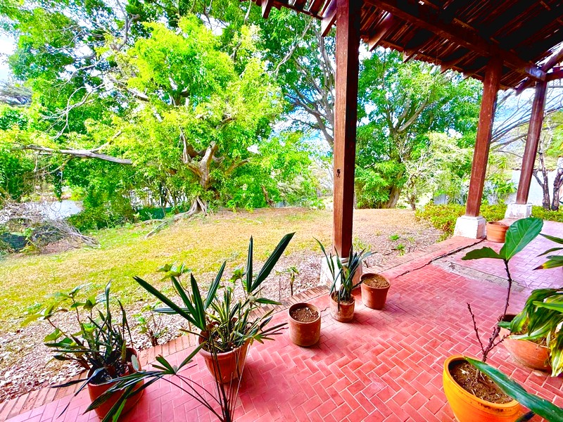 otra foto de la terraza